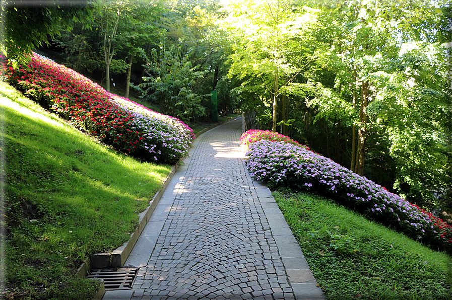 foto Giardini Trauttmansdorff - Boschi del Mondo